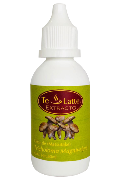 Te Latte Café - Elixir  de Tricholoma magnivelare, MATSUTAKE